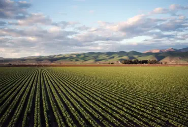 A revolução digital na agricultura brasileira: oportunidades e desafios