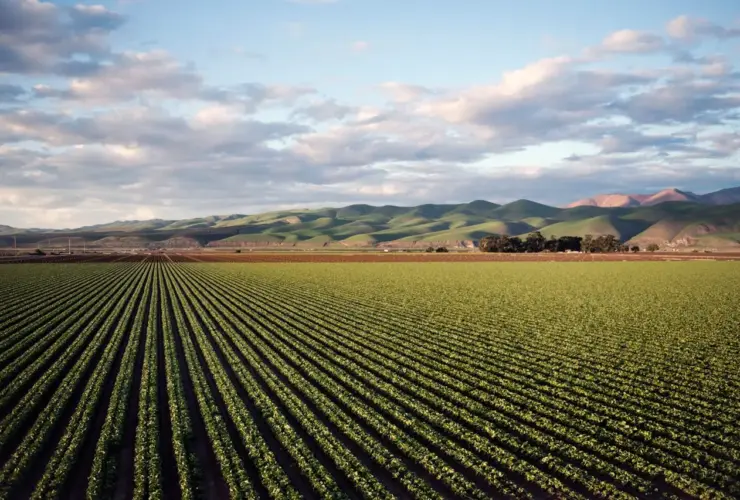 A revolução digital na agricultura brasileira: oportunidades e desafios