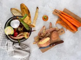 variedade de composto feito de comida estragada 23 21490737851