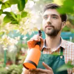 Inseticida batendo na planta