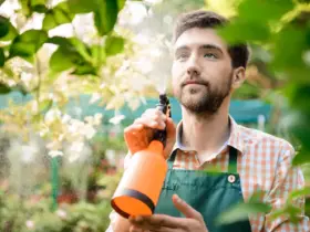 Inseticida batendo na planta