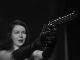 revolver magnum 357