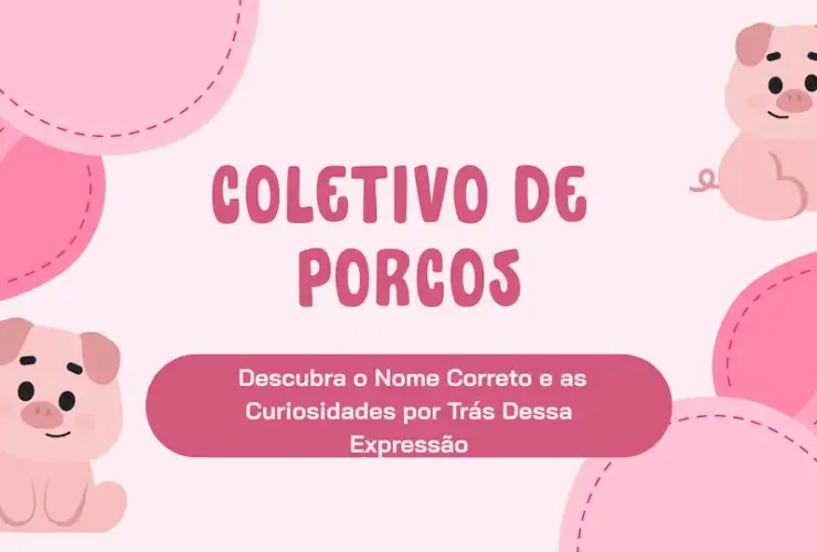 Pink Playful Project Presentation Presentation