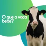 Post instagram agronegocio minimalista verde e amarelo