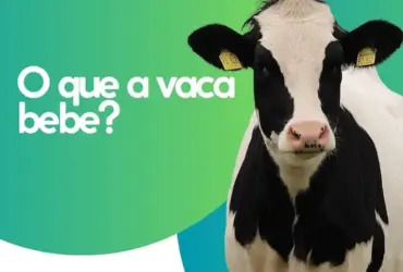 Post instagram agronegocio minimalista verde e amarelo