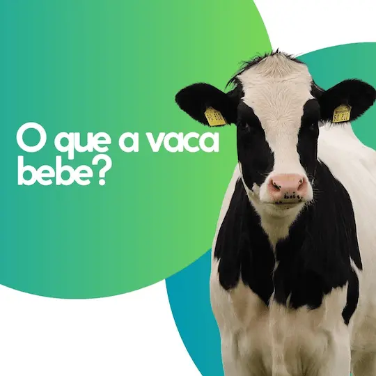 O Que a Vaca Bebe? Descubra os Segredos da Alimentação Bovina 1 Post instagram agronegocio minimalista verde e amarelo