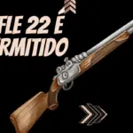 Rifle 22 e permitido
