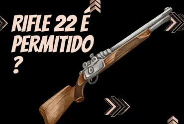 Rifle 22 e permitido