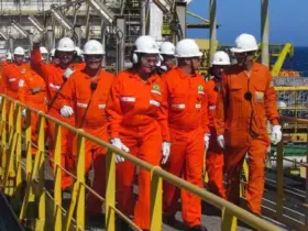 concurso petrobras