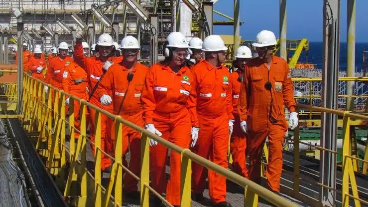 concurso petrobras